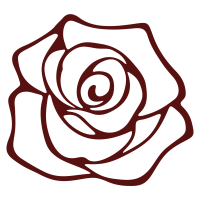 rose rose